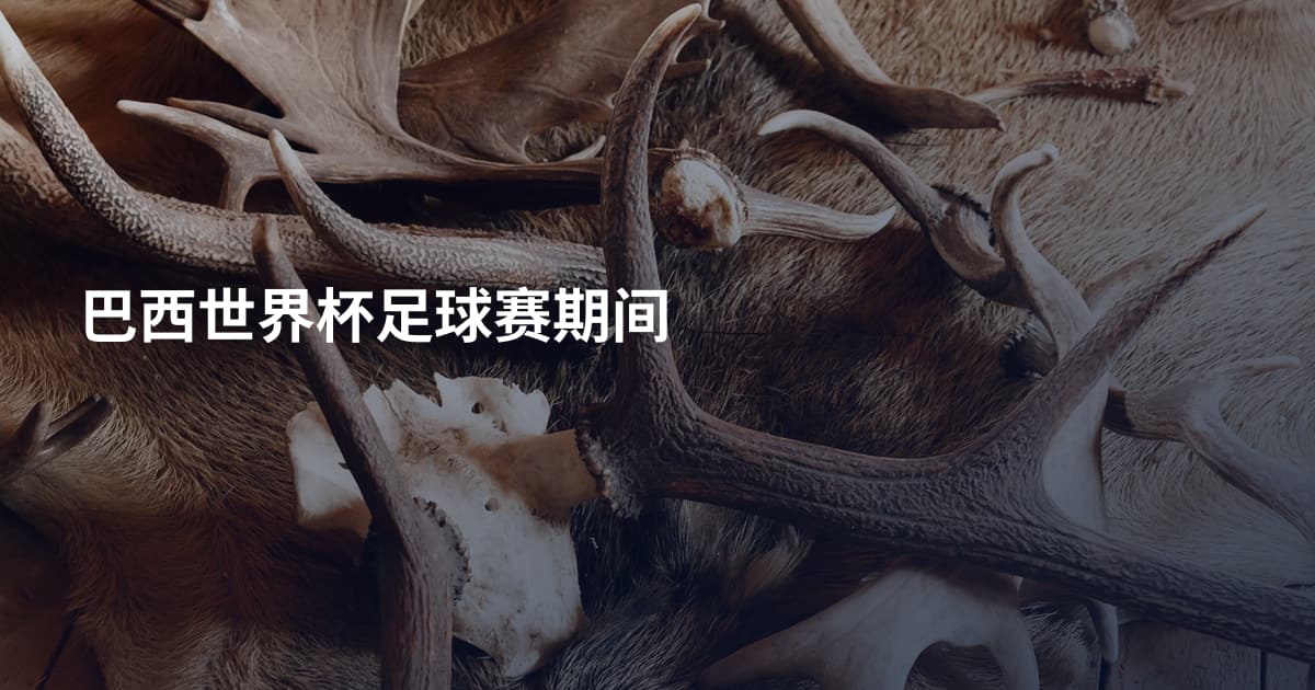巴西世界杯足球赛期间