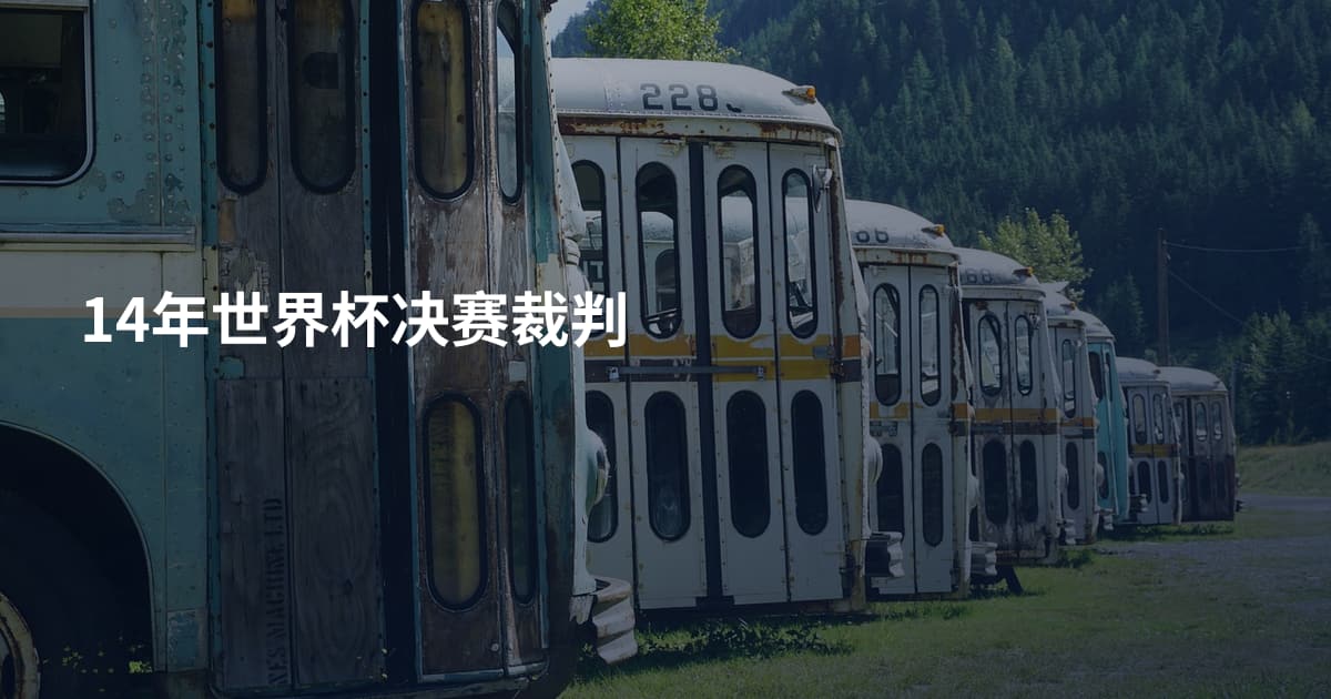 14年世界杯决赛裁判