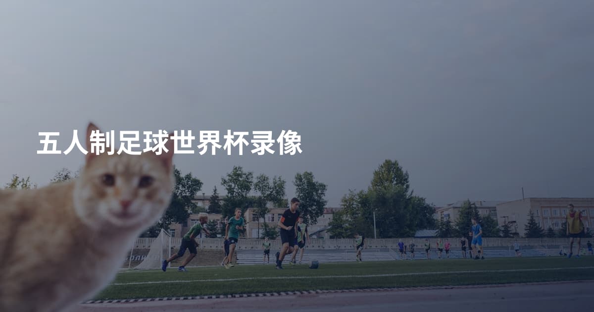 五人制足球世界杯录像