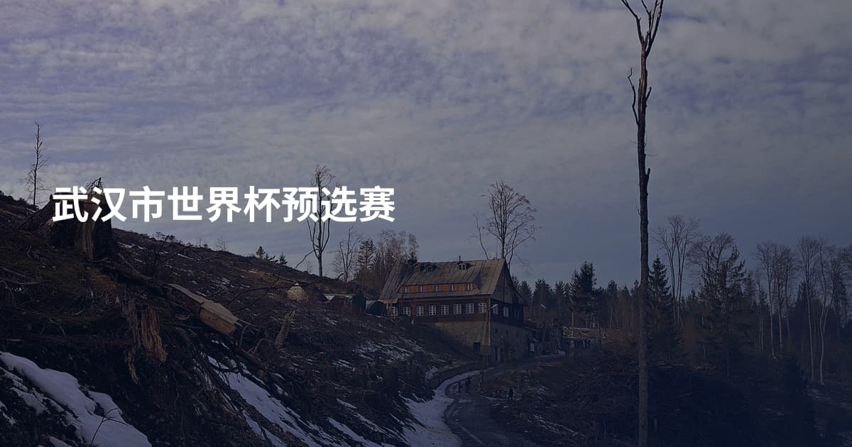 武汉市世界杯预选赛