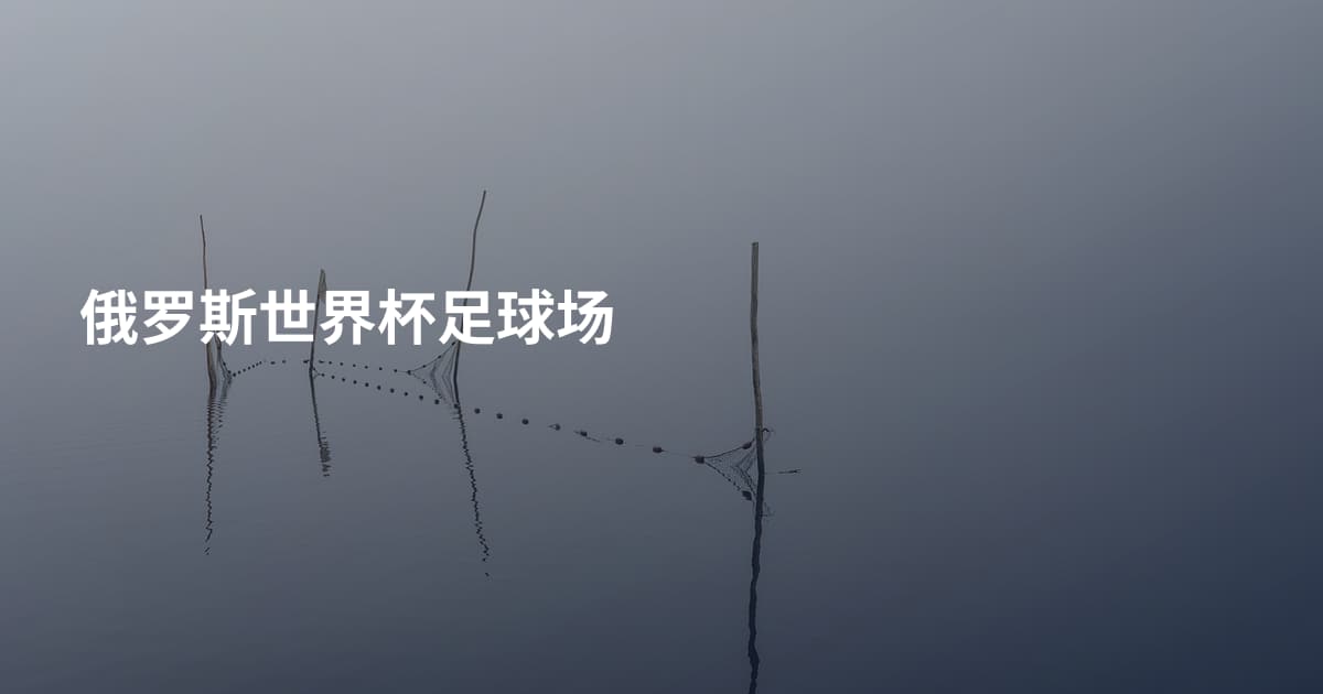 俄罗斯世界杯足球场