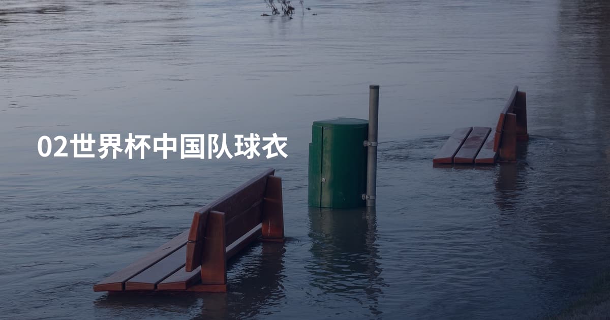 02世界杯中国队球衣