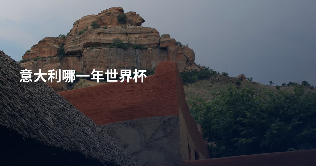 意大利哪一年世界杯