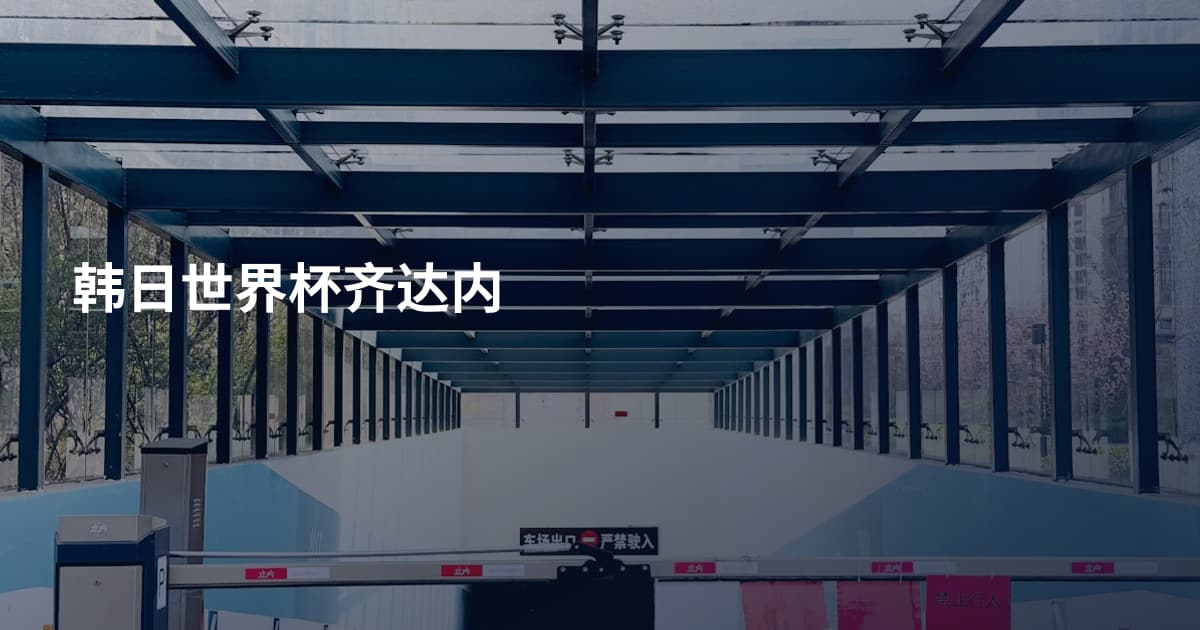 韩日世界杯齐达内