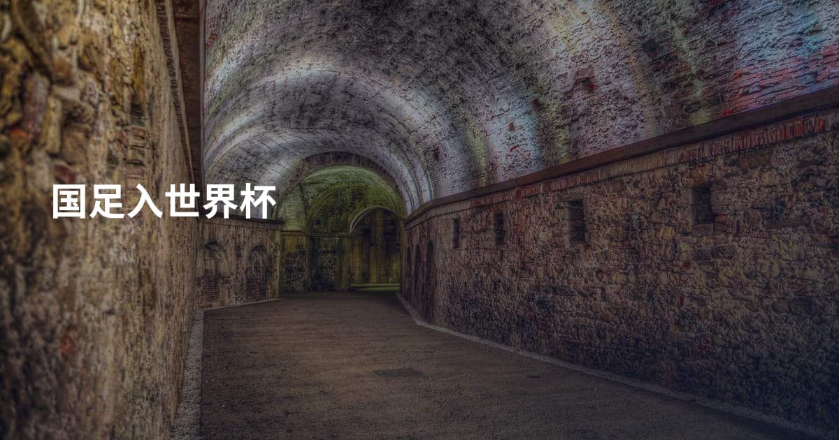 国足入世界杯