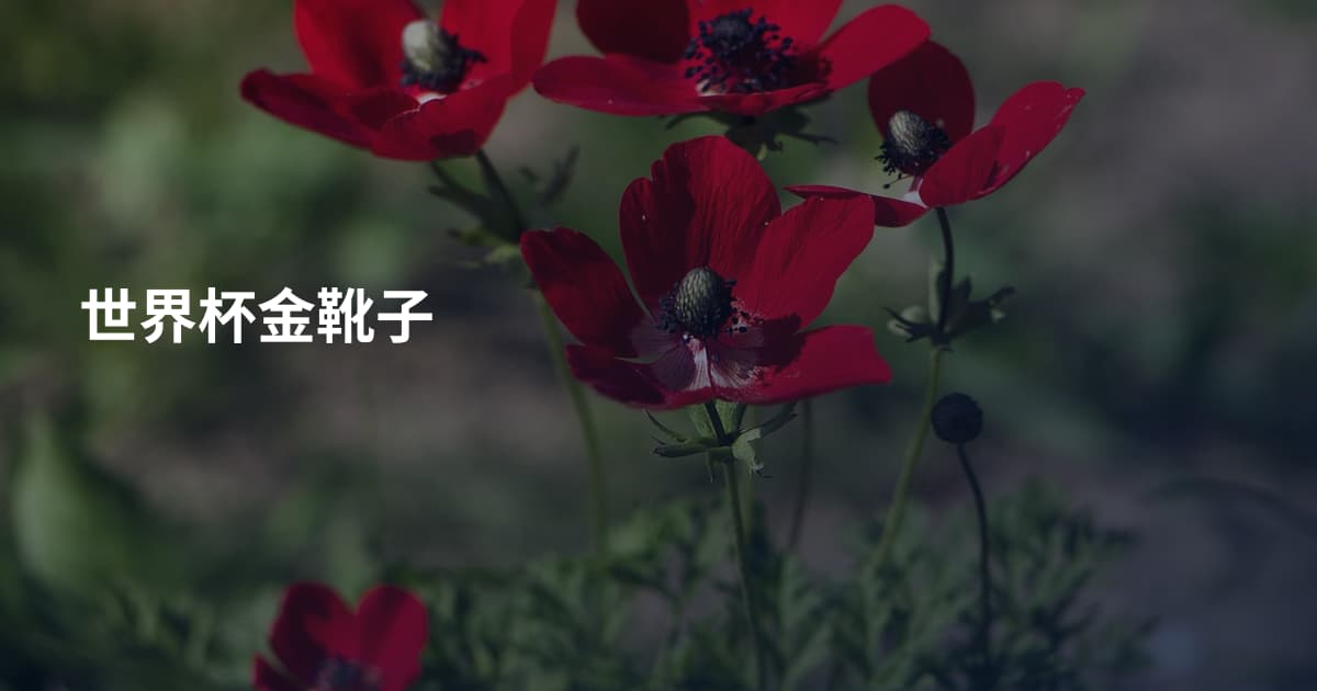 世界杯金靴子