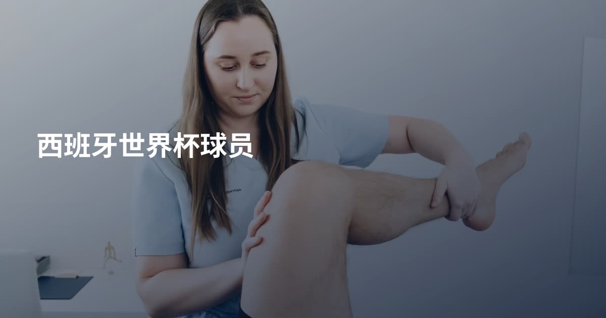 西班牙世界杯球员