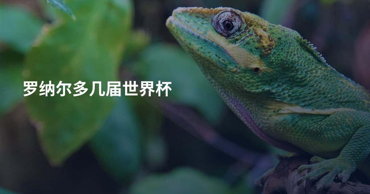 罗纳尔多几届世界杯