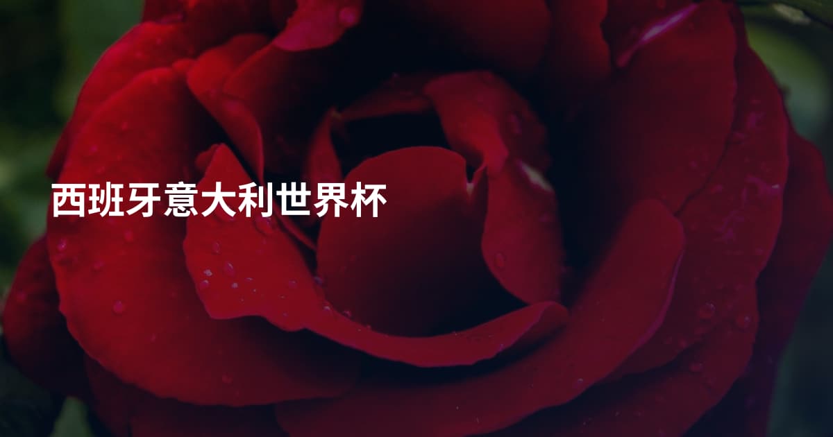 西班牙意大利世界杯