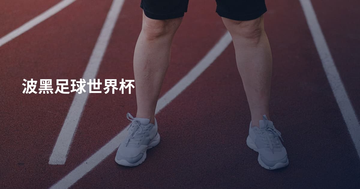 波黑足球世界杯