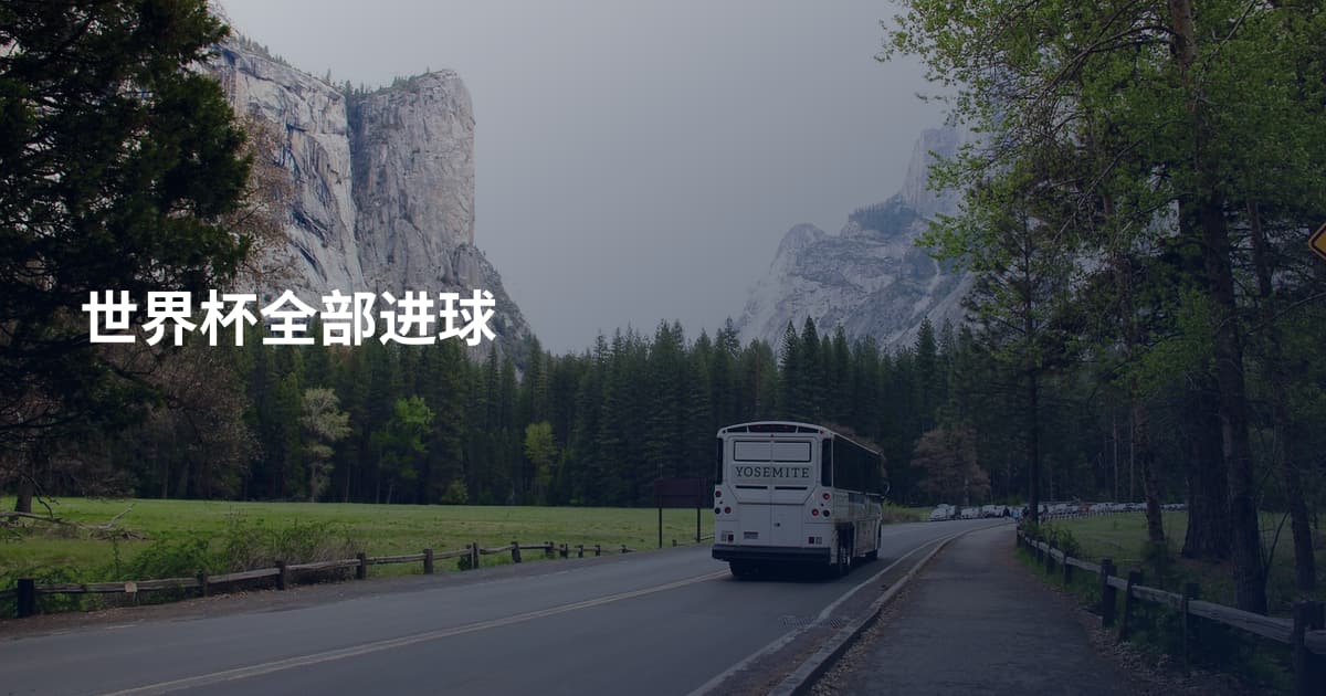 世界杯全部进球