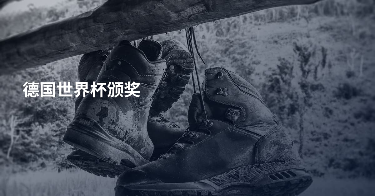德国世界杯颁奖