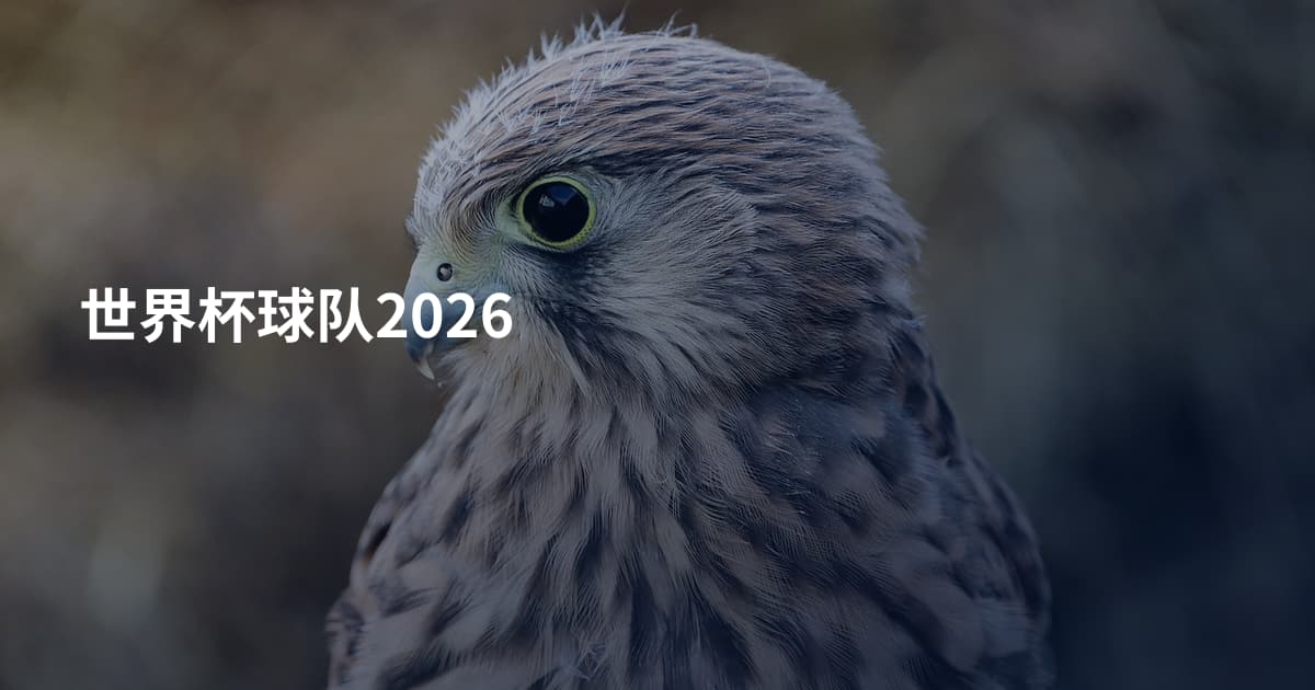 世界杯球队2026