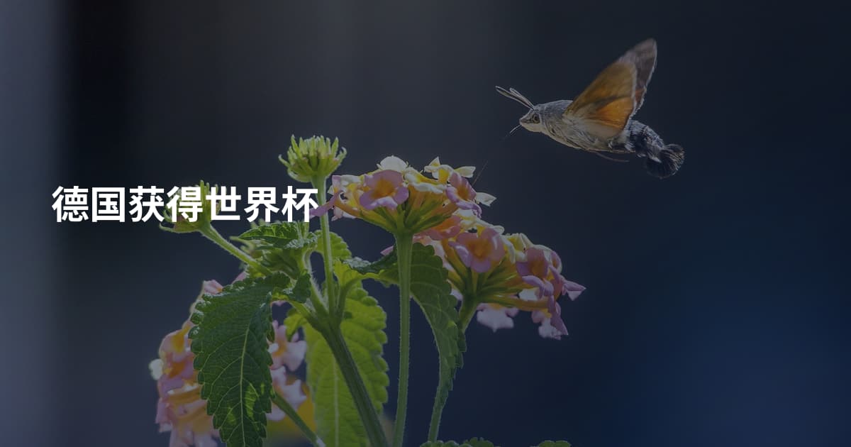 德国获得世界杯