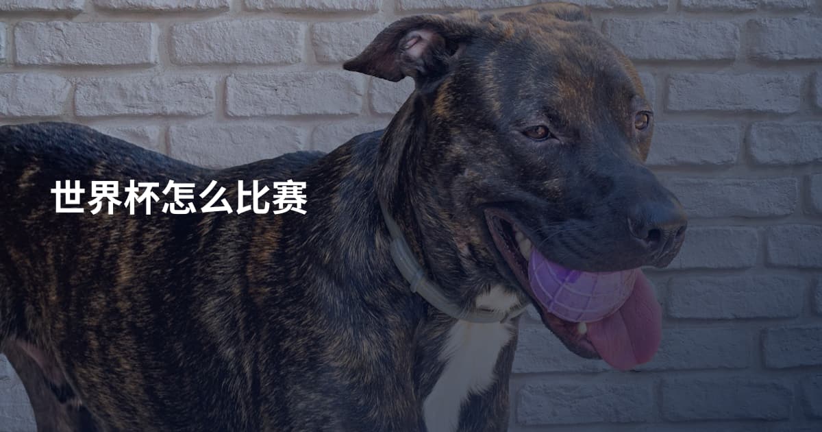 世界杯怎么比赛