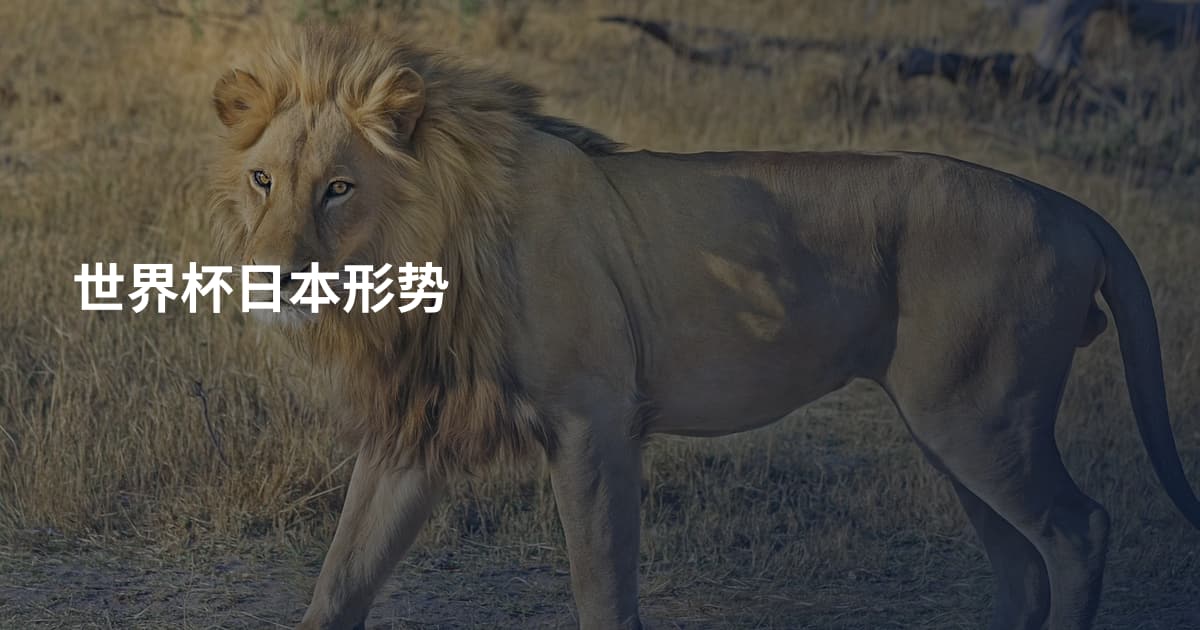 世界杯日本形势