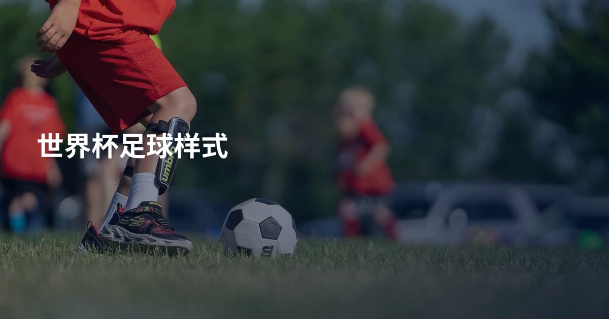 世界杯足球样式