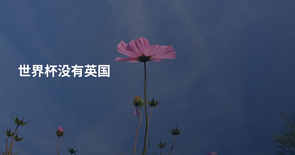 世界杯没有英国