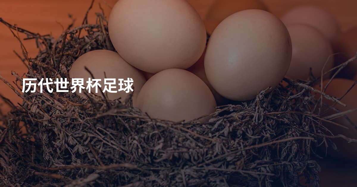 历代世界杯足球