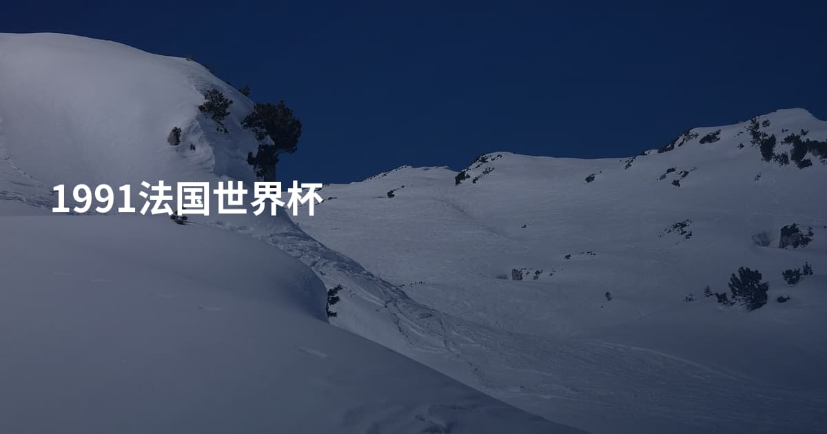 1991法国世界杯
