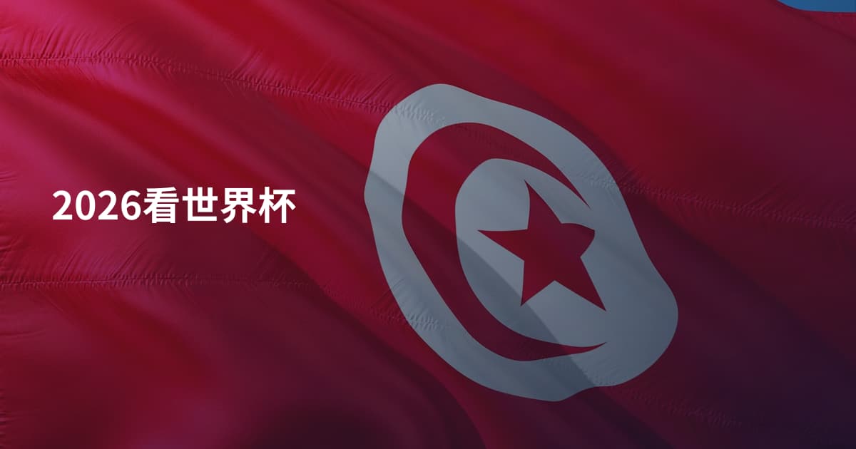 2026看世界杯