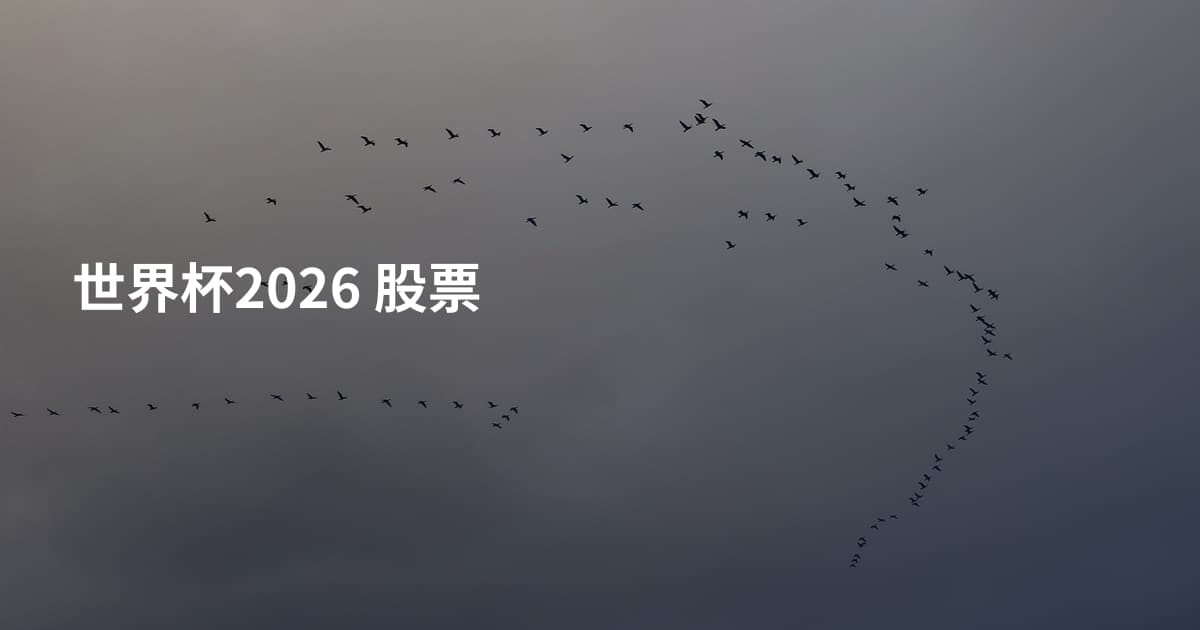世界杯2026 股票