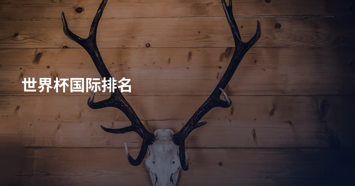 世界杯国际排名