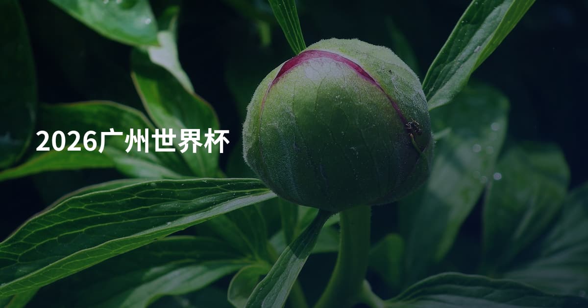 2026广州世界杯