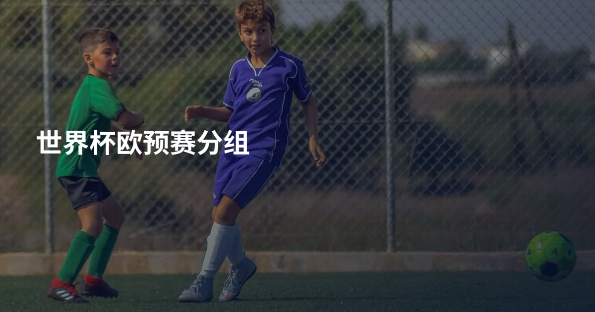 世界杯欧预赛分组