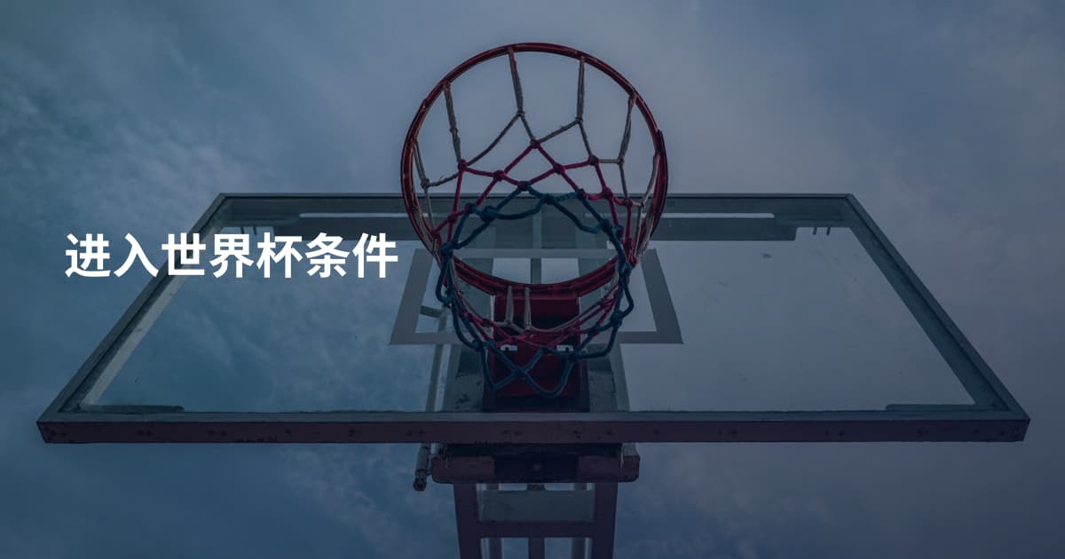 进入世界杯条件