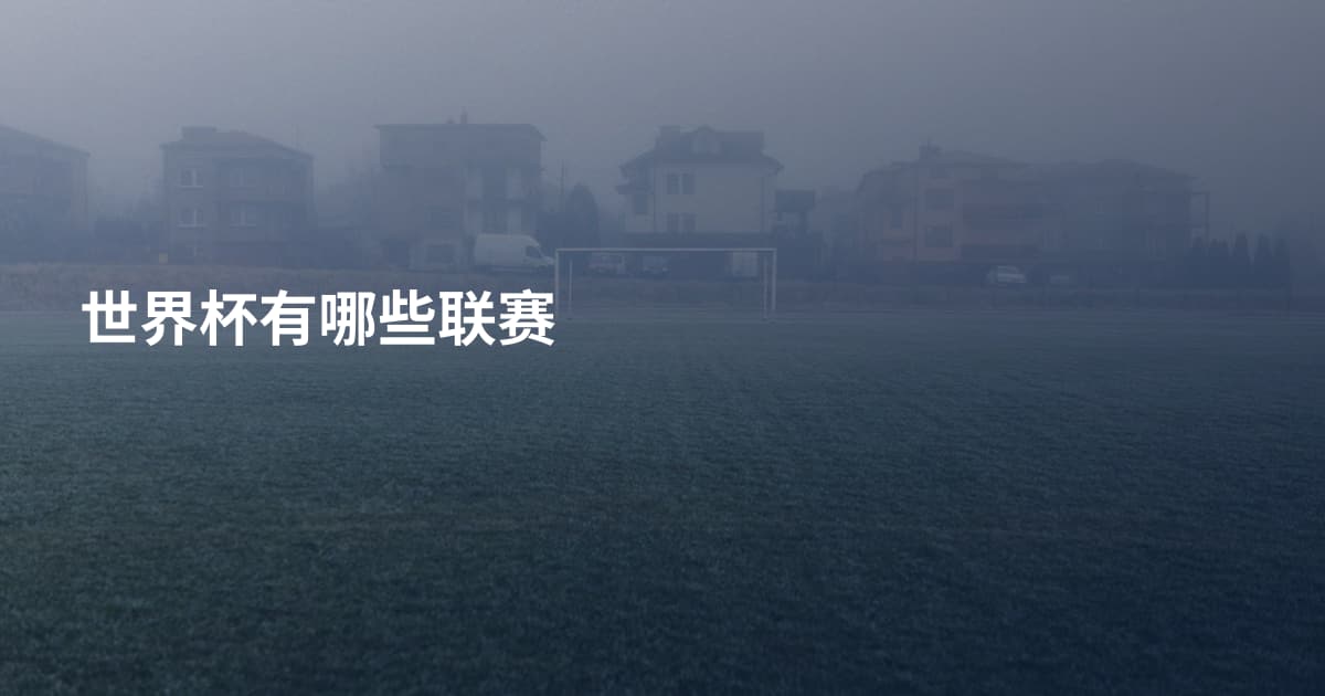 世界杯有哪些联赛