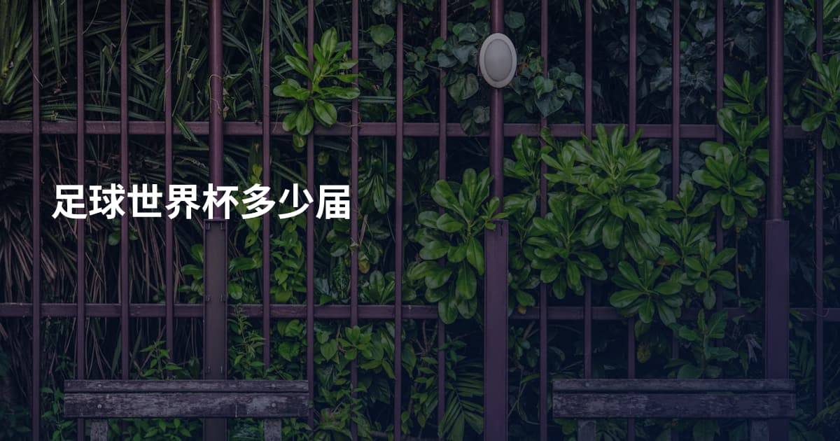 足球世界杯多少届