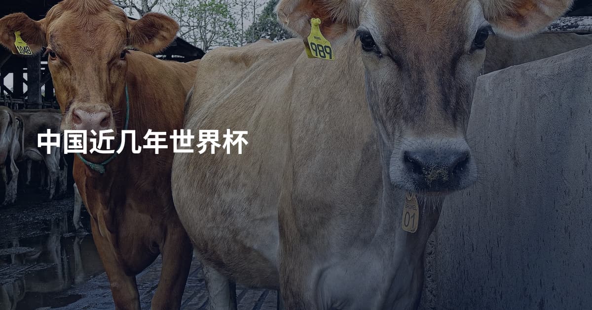 中国近几年世界杯