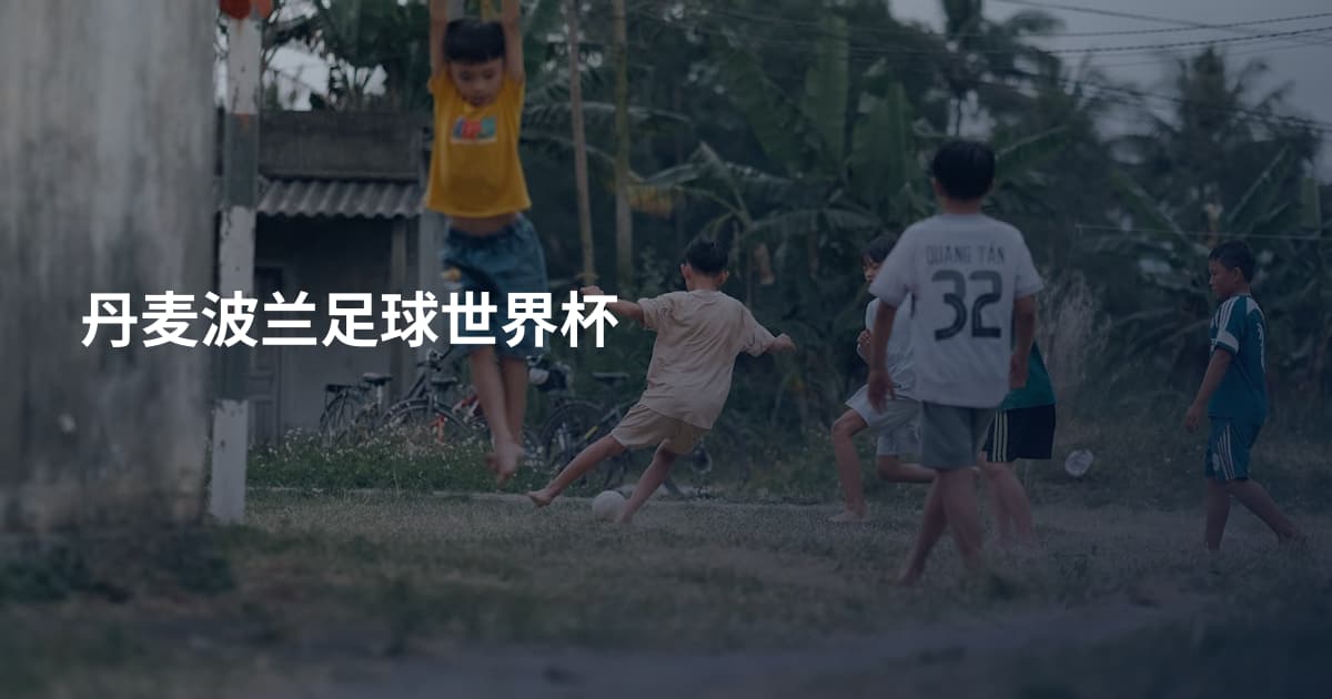 丹麦波兰足球世界杯