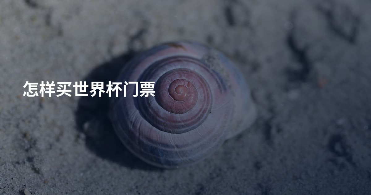 怎样买世界杯门票