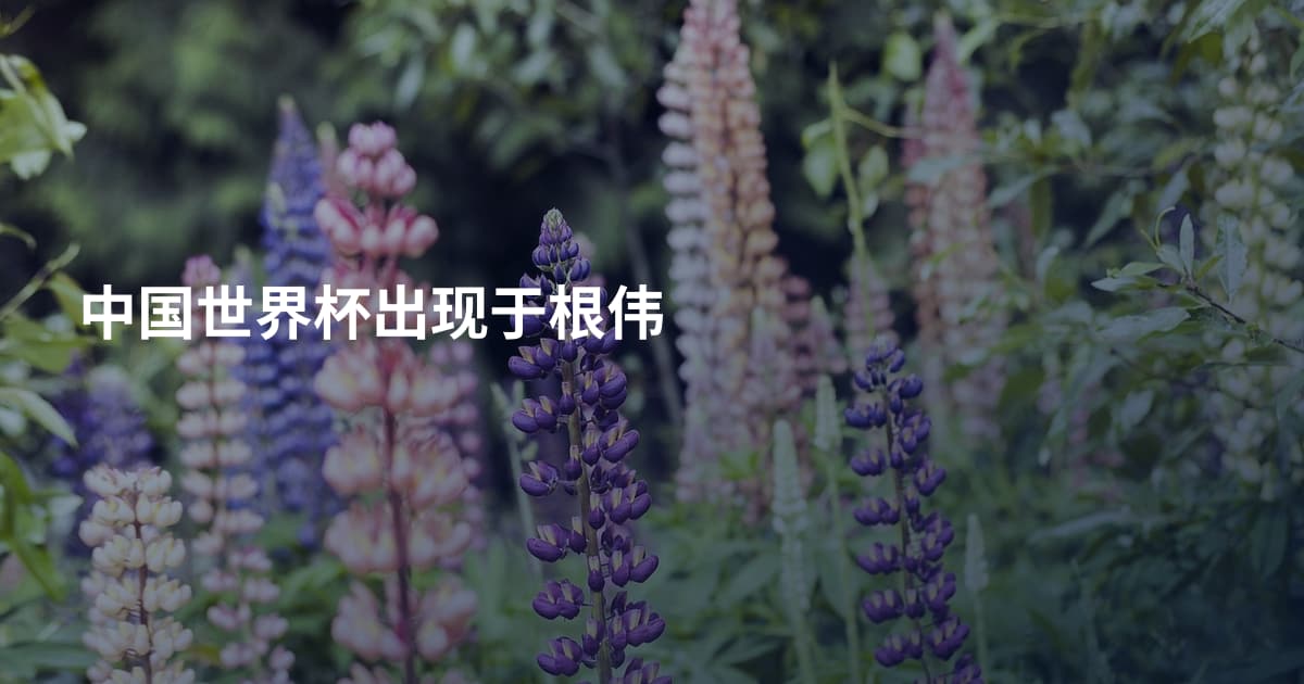 中国世界杯出现于根伟