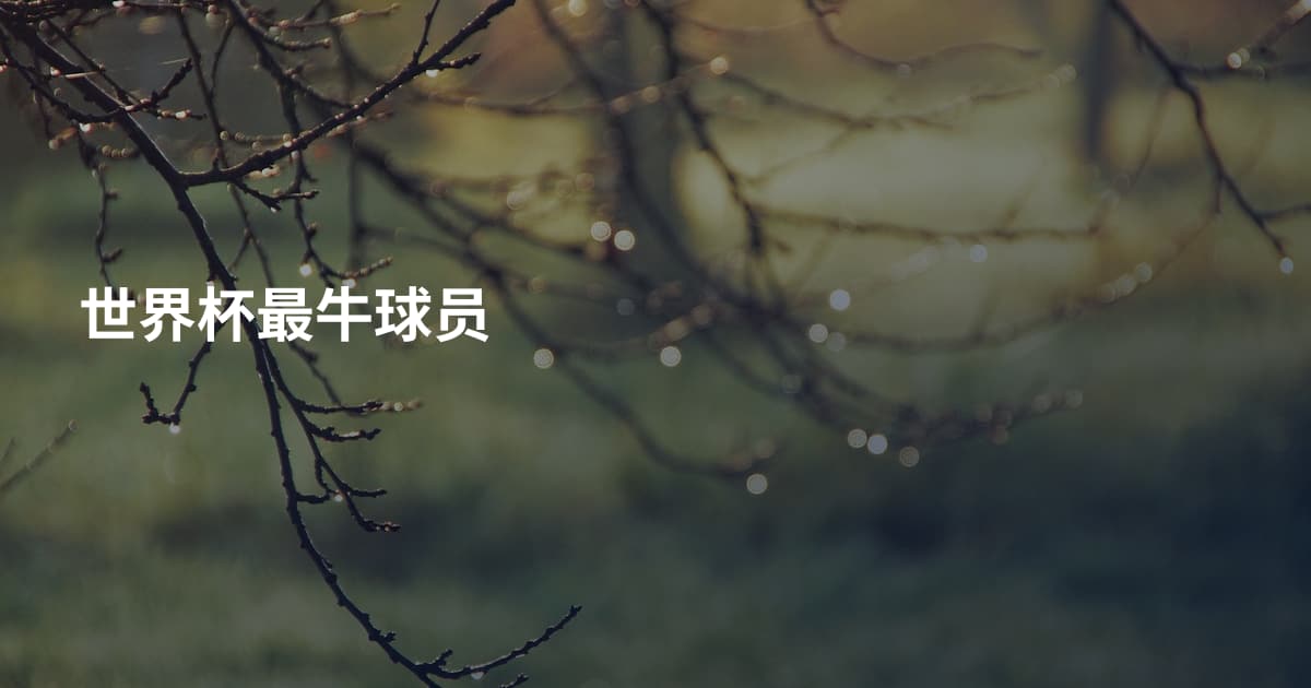 世界杯最牛球员