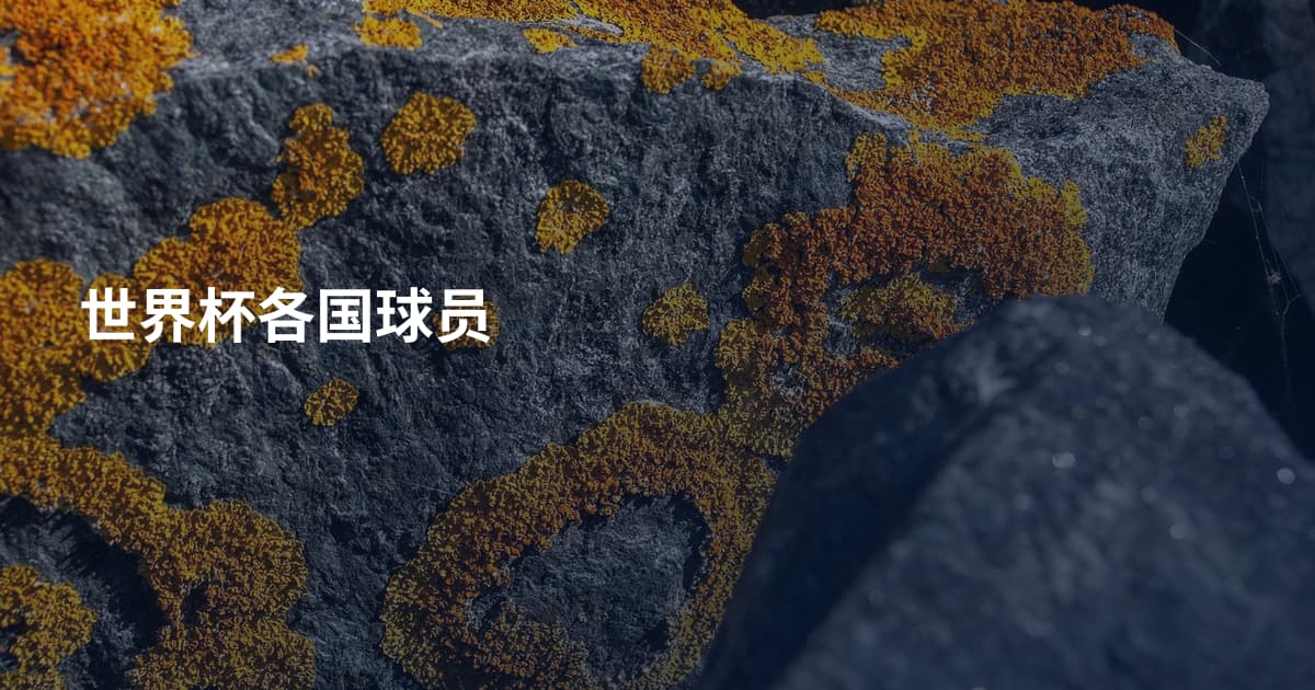 世界杯各国球员