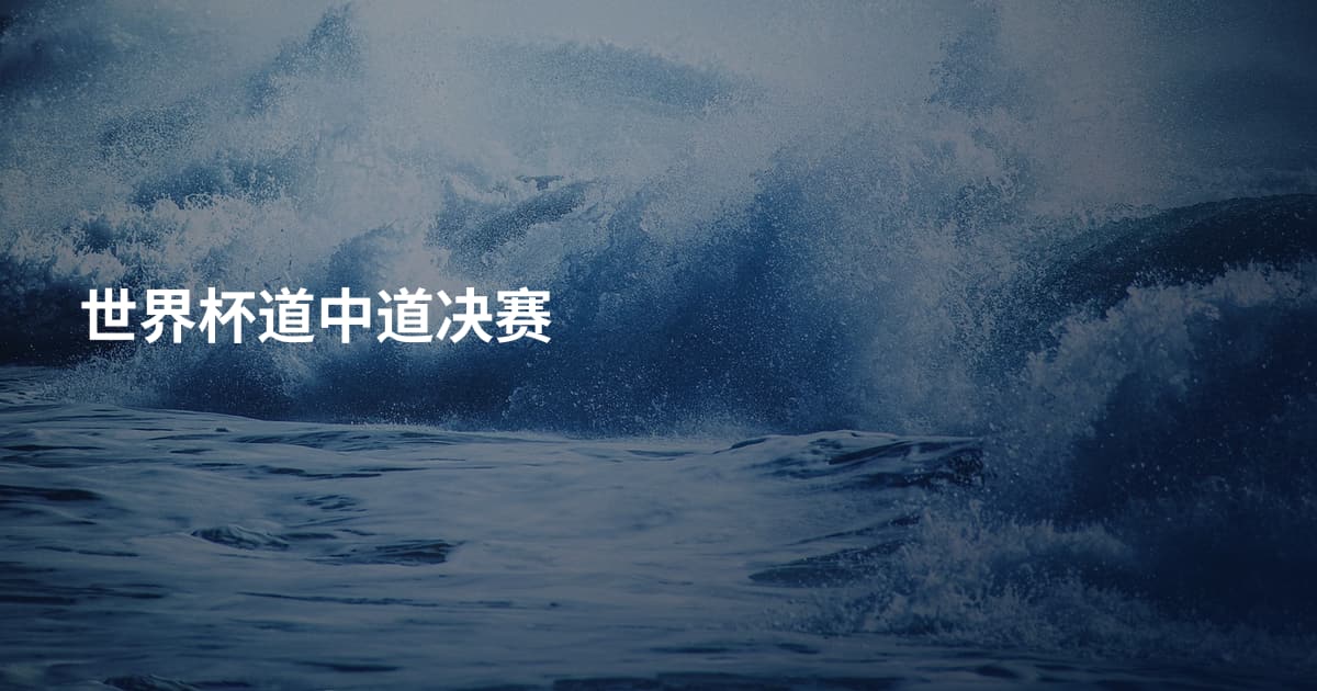 世界杯道中道决赛