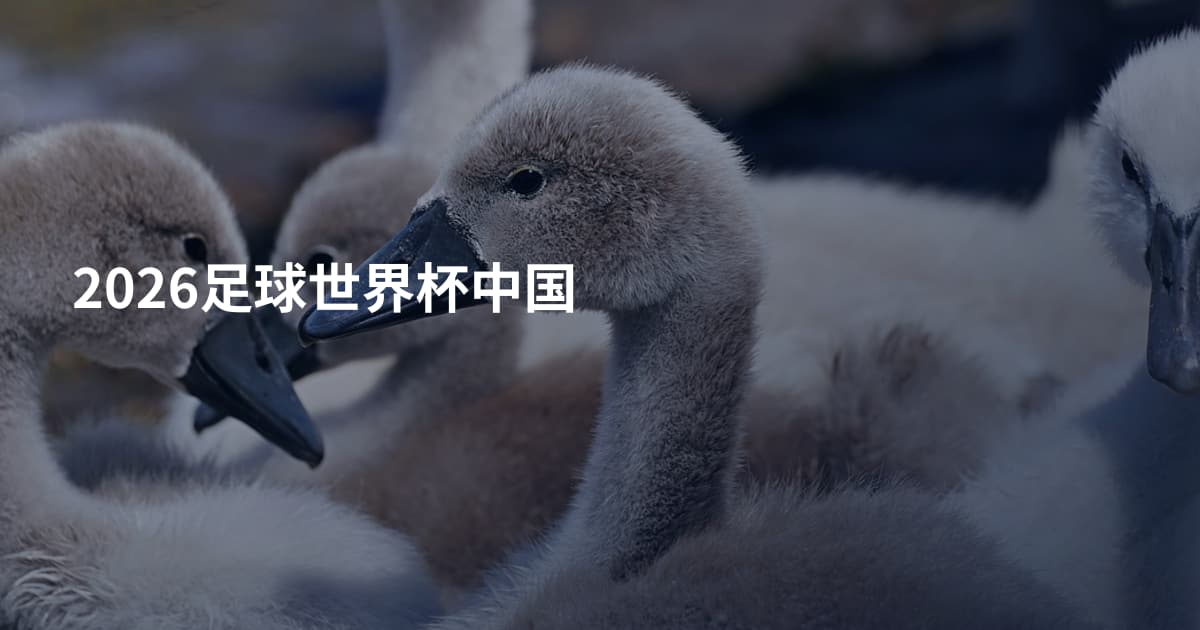 2026足球世界杯中国