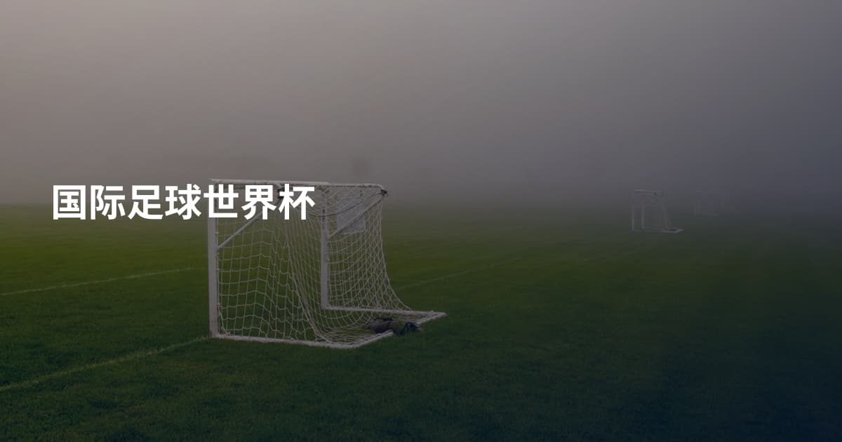 国际足球世界杯