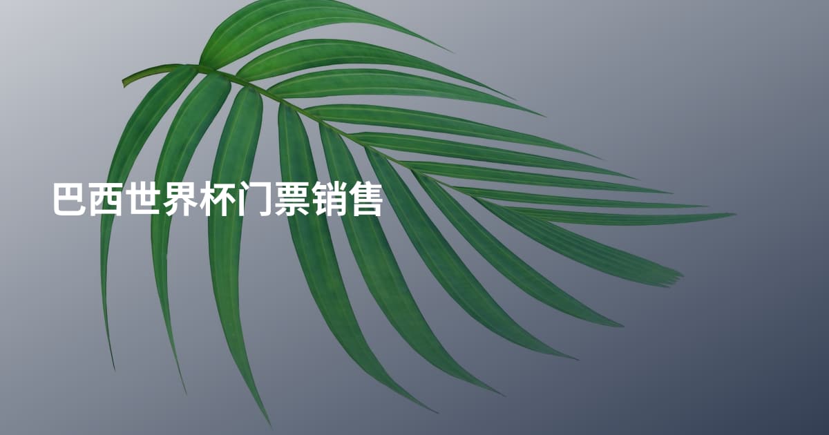 巴西世界杯门票销售