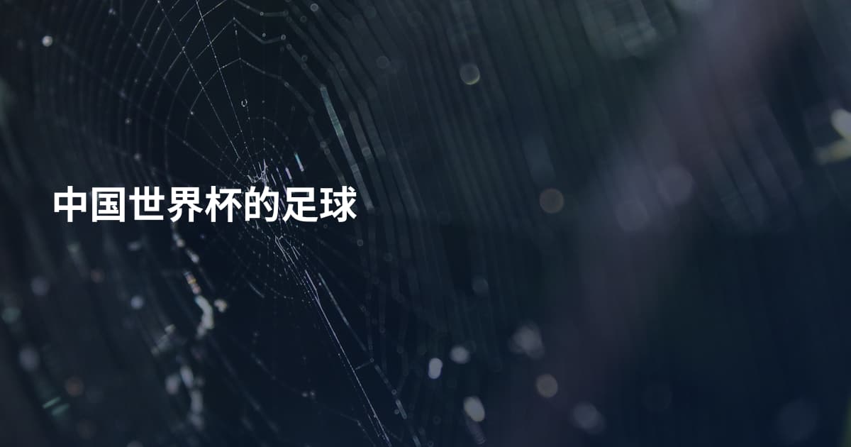中国世界杯的足球