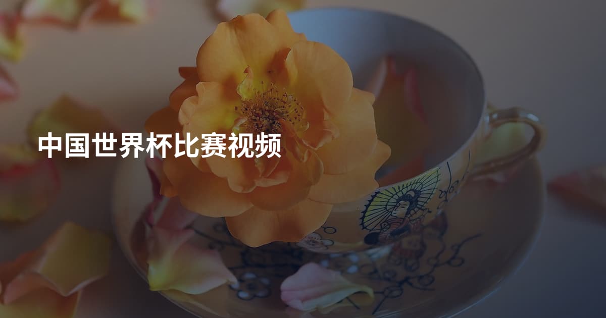 中国世界杯比赛视频