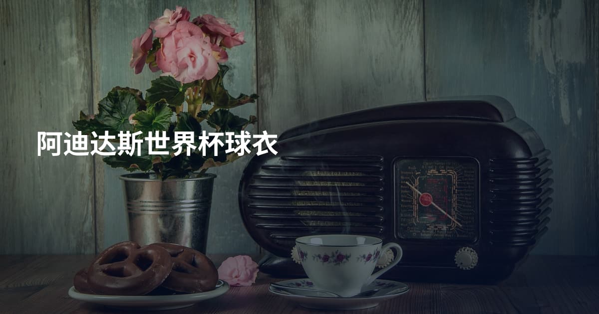 阿迪达斯世界杯球衣