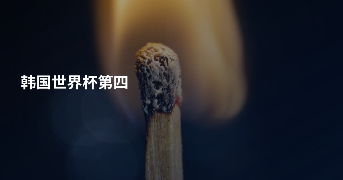 韩国世界杯第四