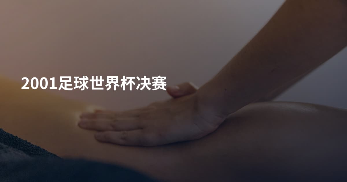 2001足球世界杯决赛