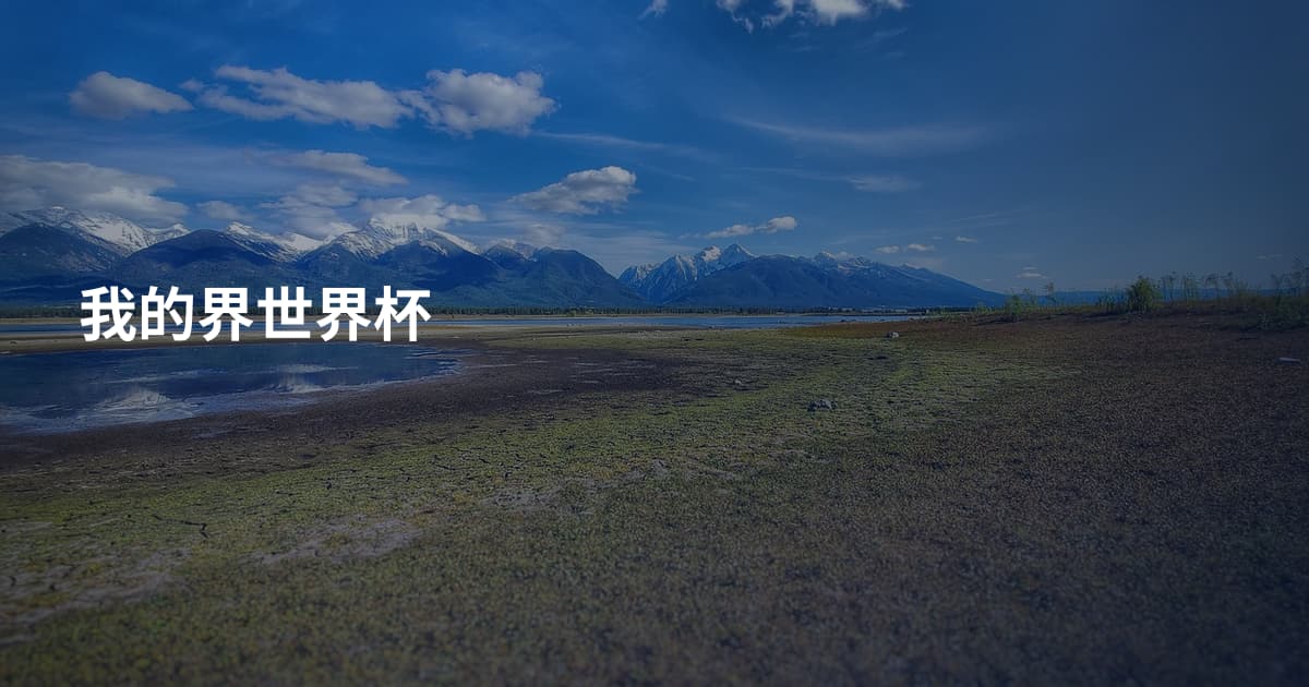 我的界世界杯