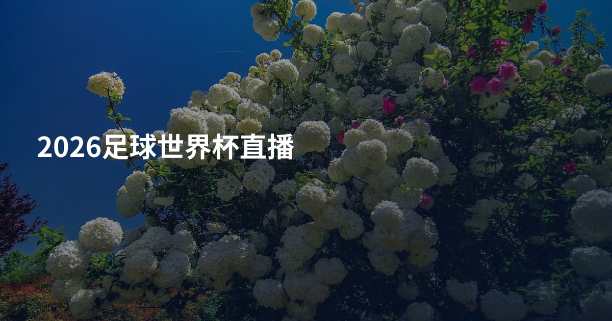 2026足球世界杯直播