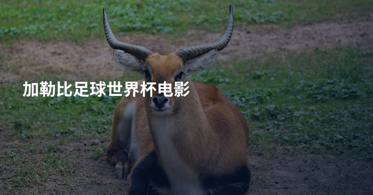 加勒比足球世界杯电影